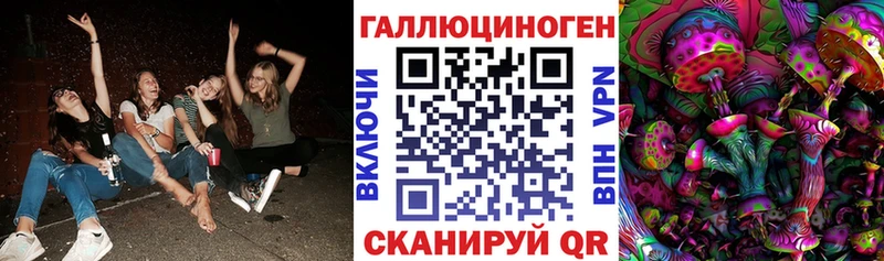 купить наркотик  Брюховецкая  Псилоцибиновые грибы Psilocybine cubensis 